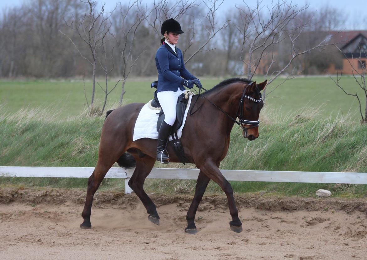 Oldenborg Maks af hejring billede 9