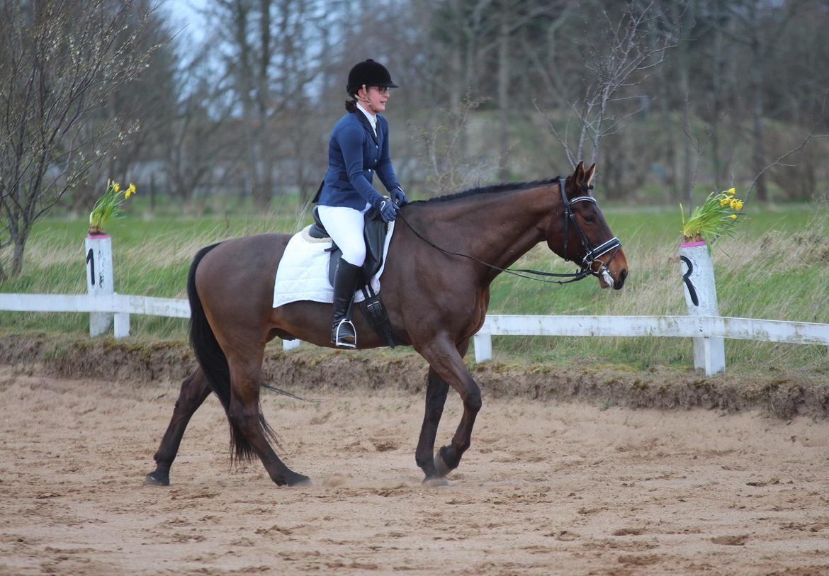 Oldenborg Maks af hejring billede 5