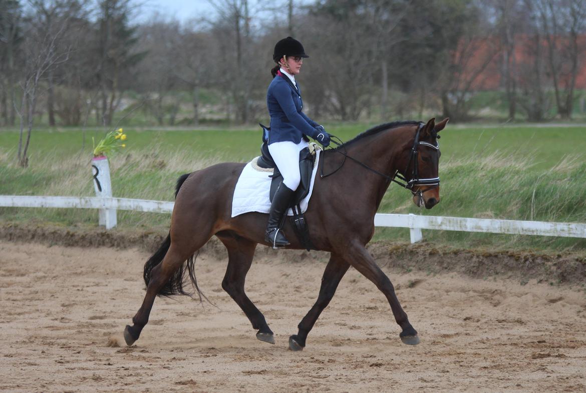 Oldenborg Maks af hejring billede 11