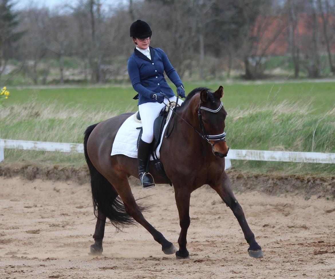 Oldenborg Maks af hejring billede 14