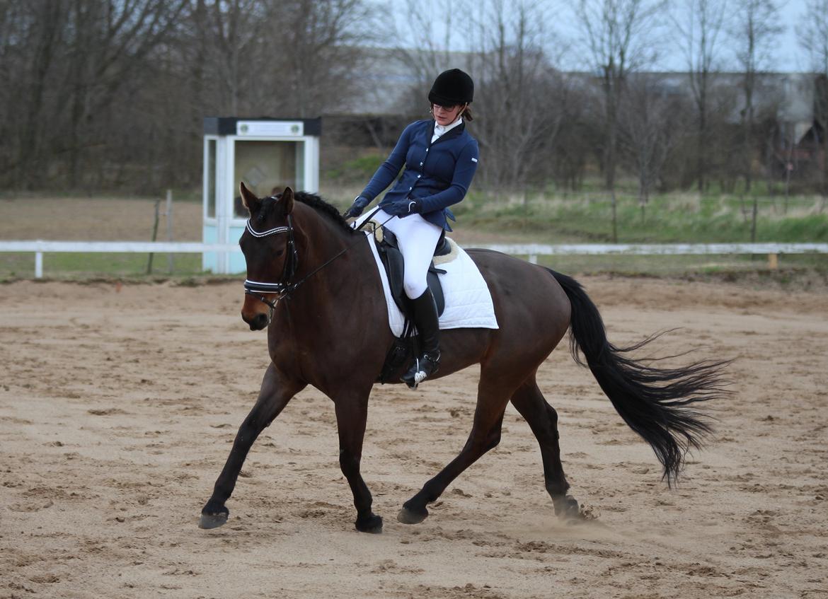 Oldenborg Maks af hejring billede 16