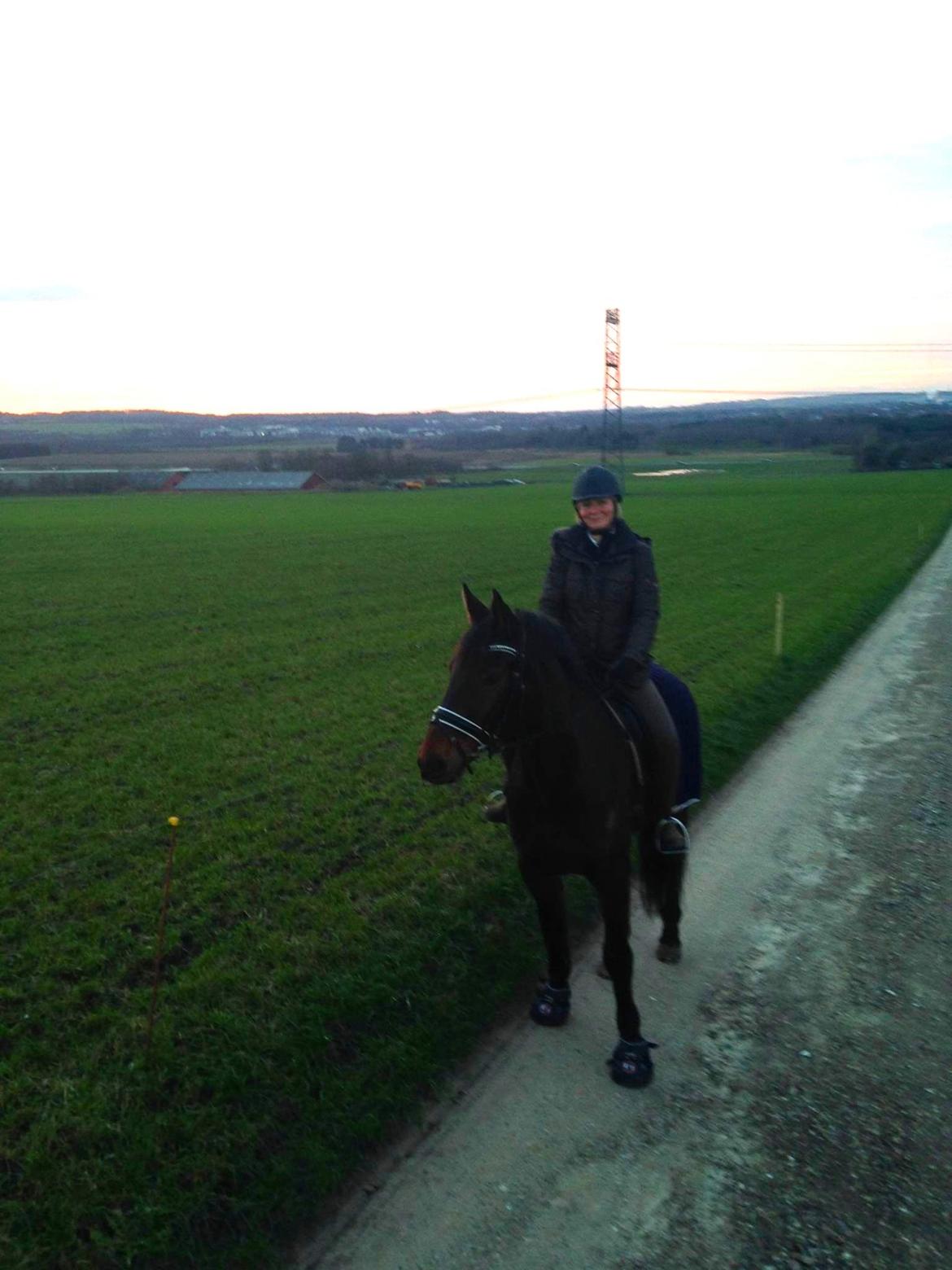 Oldenborg Maks af hejring billede 15