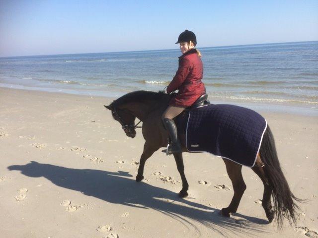 Oldenborg Maks af hejring billede 19