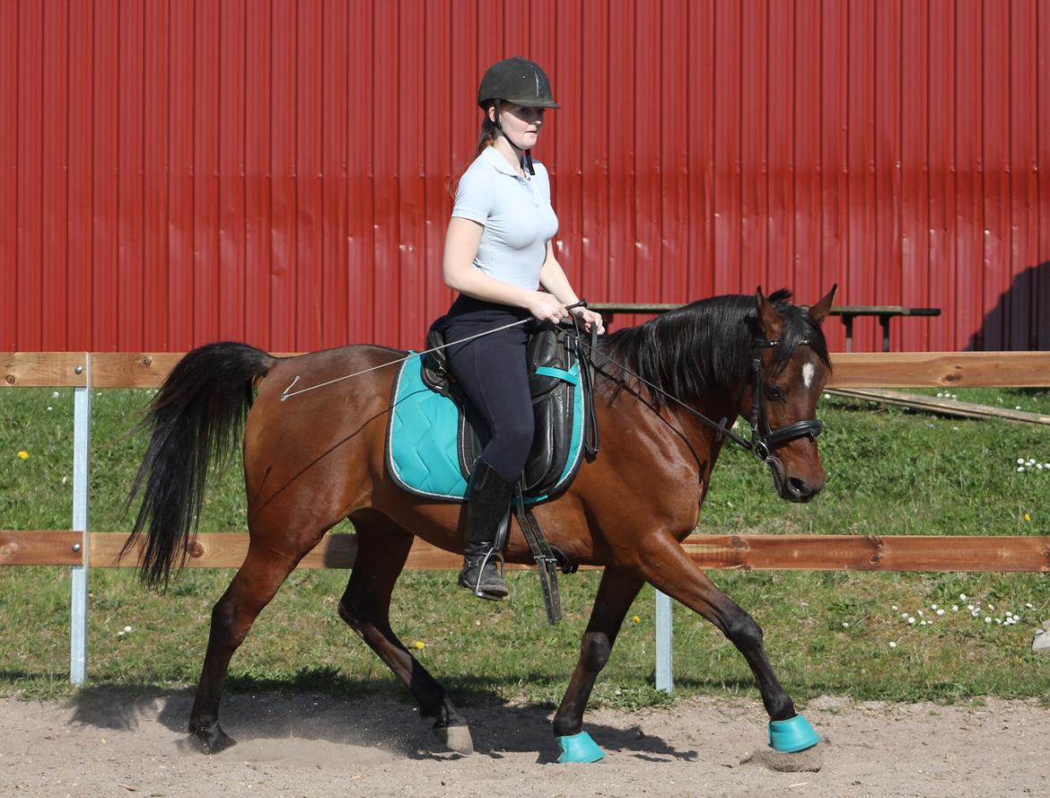 DSP Reb'l Fleur - april 2015 billede 37