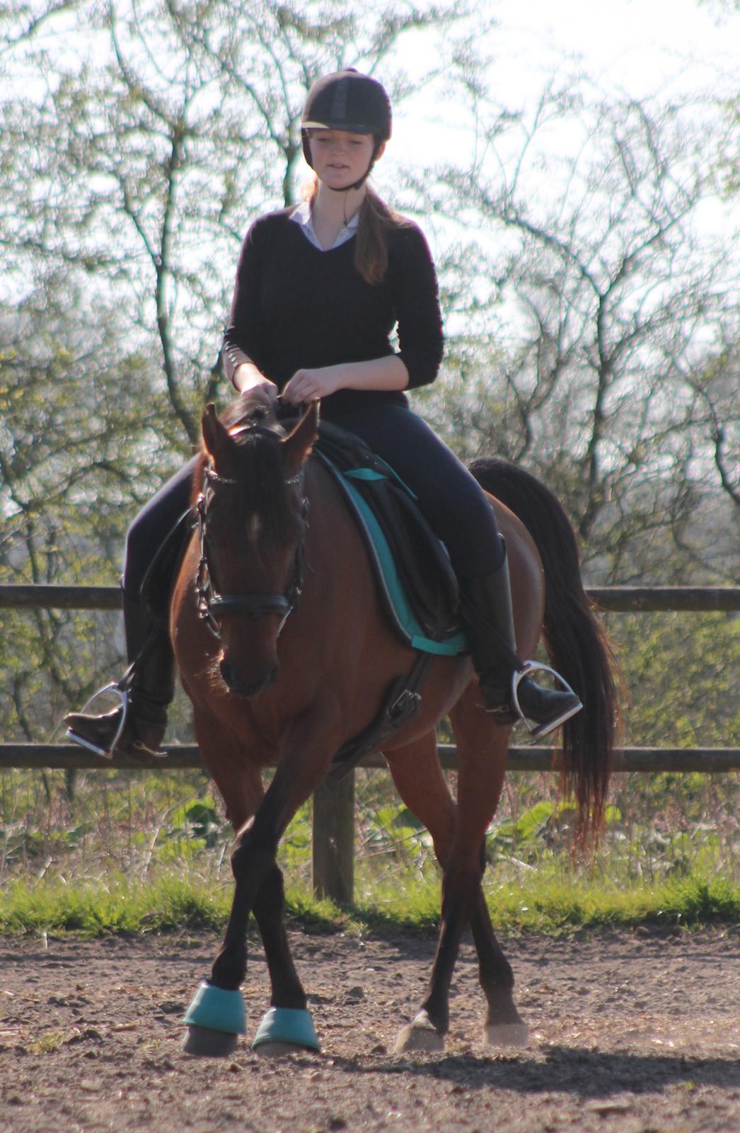 DSP Reb'l Fleur - Dressur april 2015 billede 48