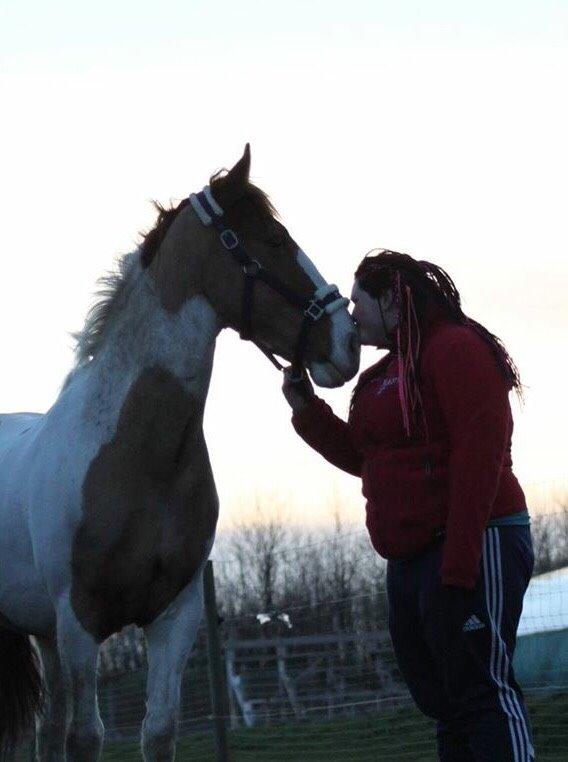 Pinto Captain Morgan billede 9