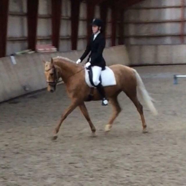 Anden særlig race Roosgårdens Daytime billede 11