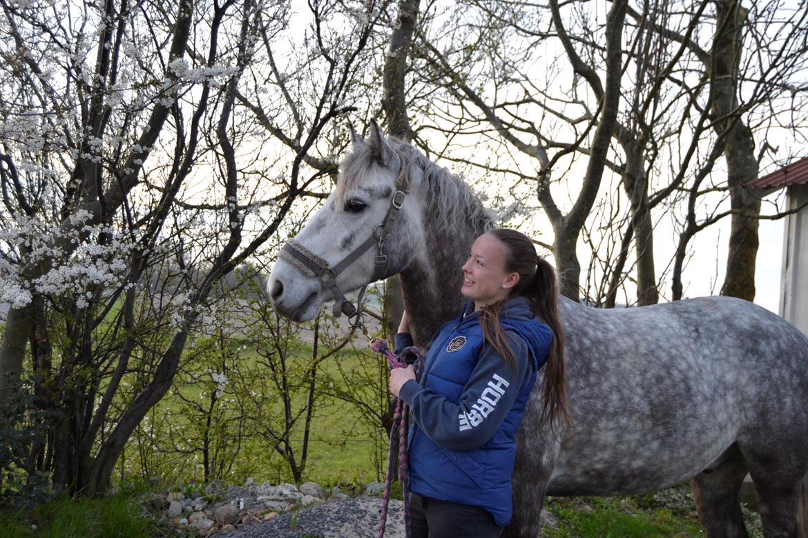 Connemara Klintly's macong - Farvel til prinsen <3 billede 20