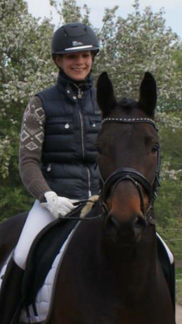 Anden særlig race Søgårdens qashqai solgt  billede 4