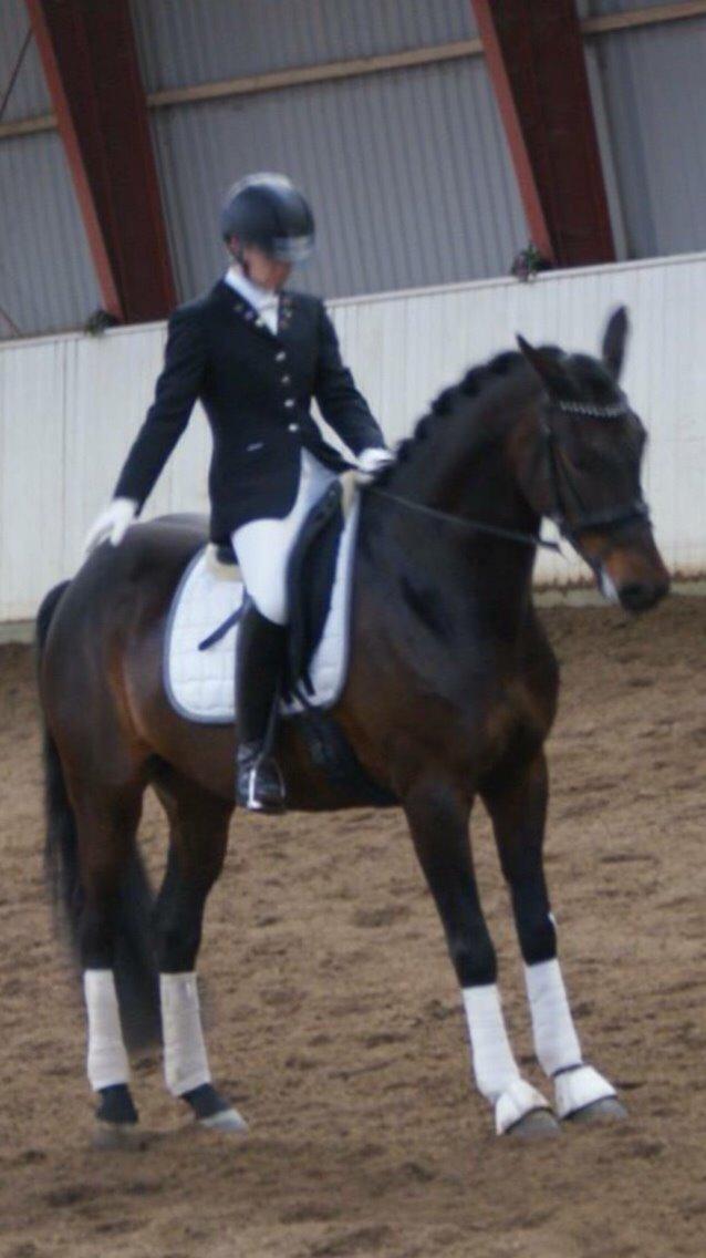 Anden særlig race Søgårdens qashqai solgt  billede 10