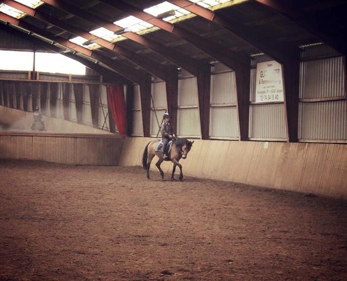 Anden særlig race Diva - 3 April. billede 8