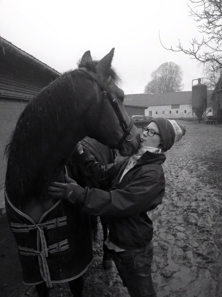 Anden særlig race Diva billede 12