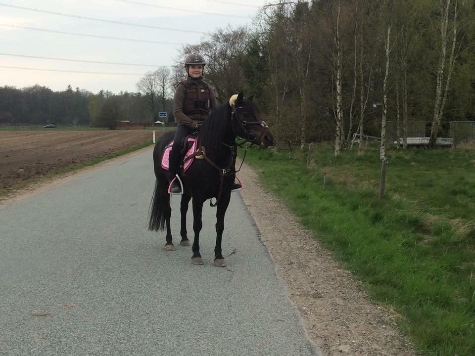 Anden særlig race Coco Chanel - Første ridetur på skønheden <3 Hun er dejlig <3   billede 1