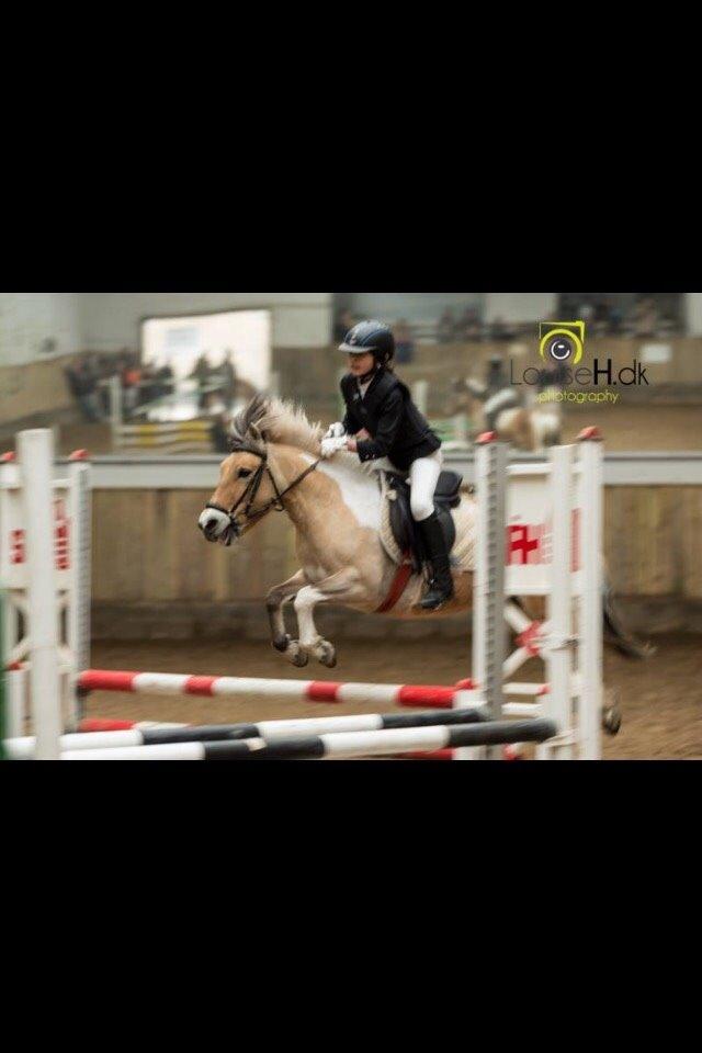 Anden særlig race Nice Suprice (Connie)  - Hendes første fejlfrie udestævne nogensinde <3 billede 9