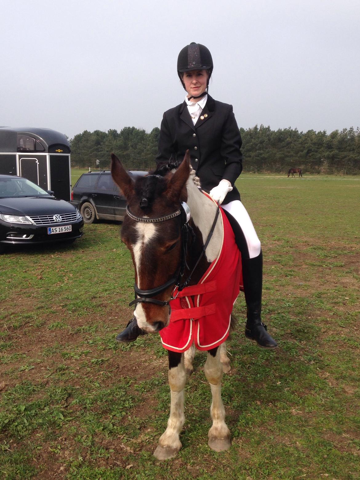 Anden særlig race Huxi  billede 12