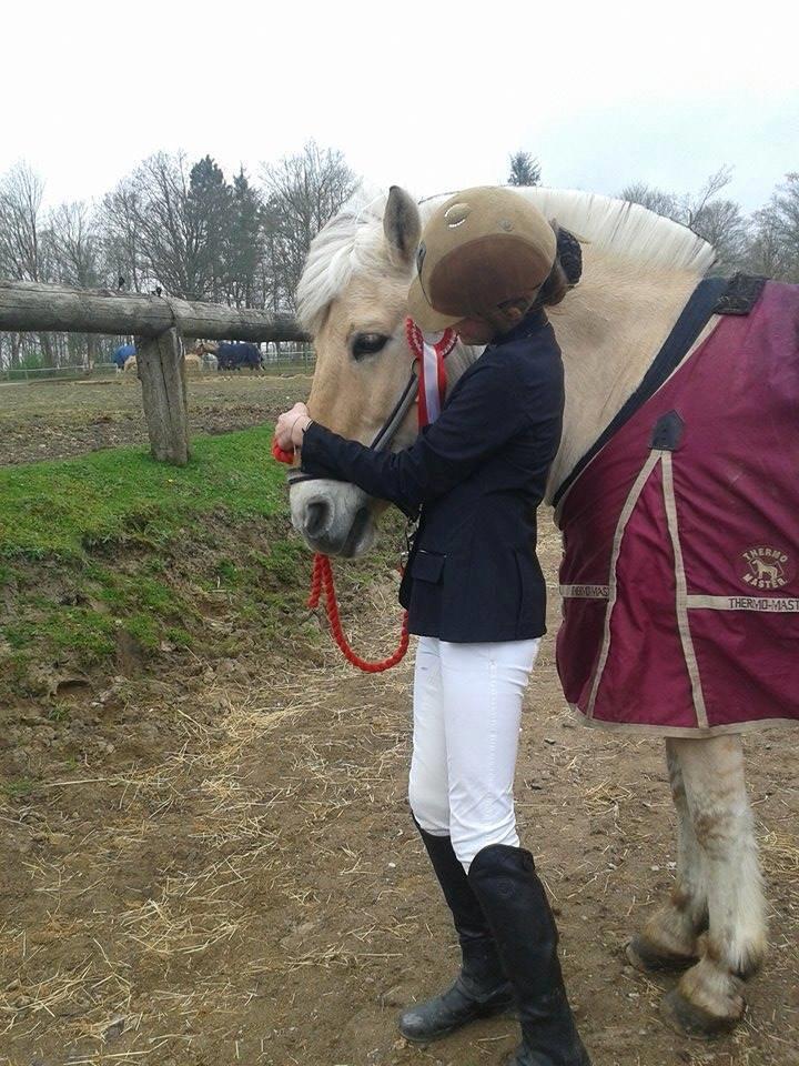 Fjordhest Tronto - Du er så sød og dygtig  billede 20