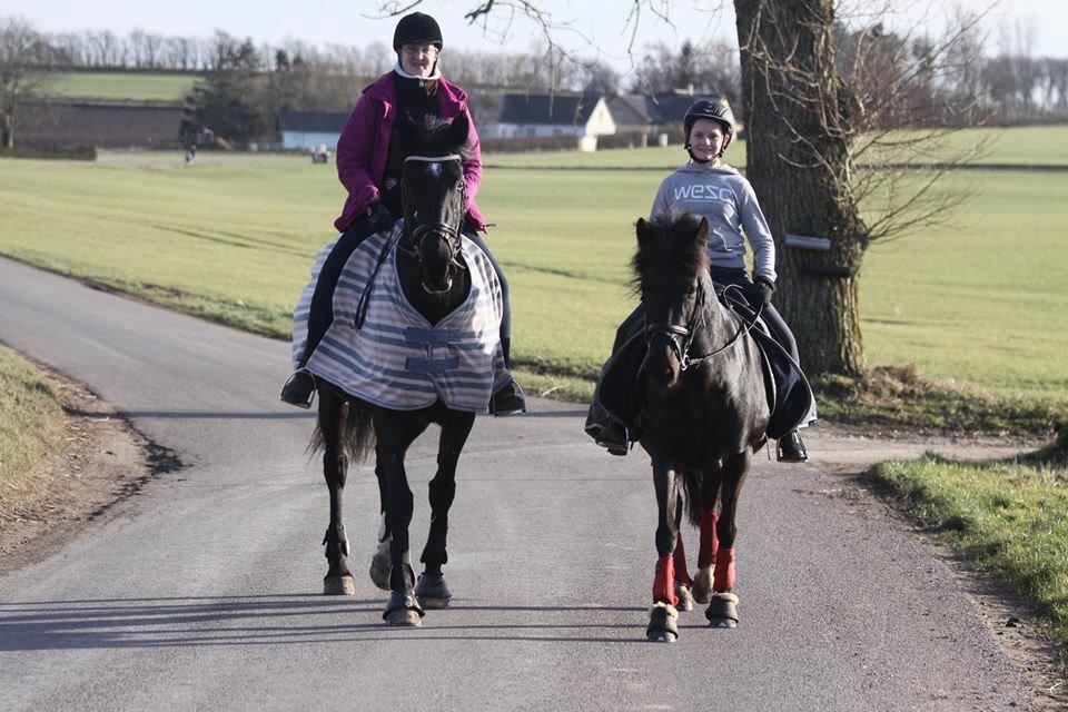 Aegidienberger Venja billede 15