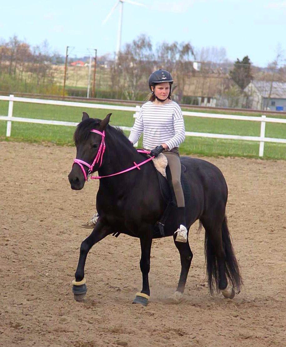 Aegidienberger Venja billede 17