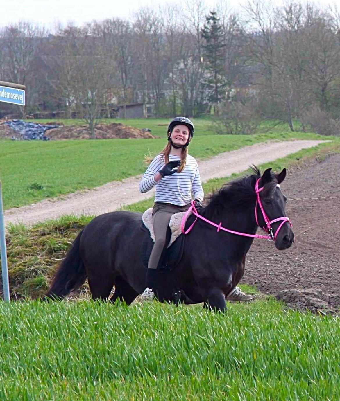 Aegidienberger Venja billede 20