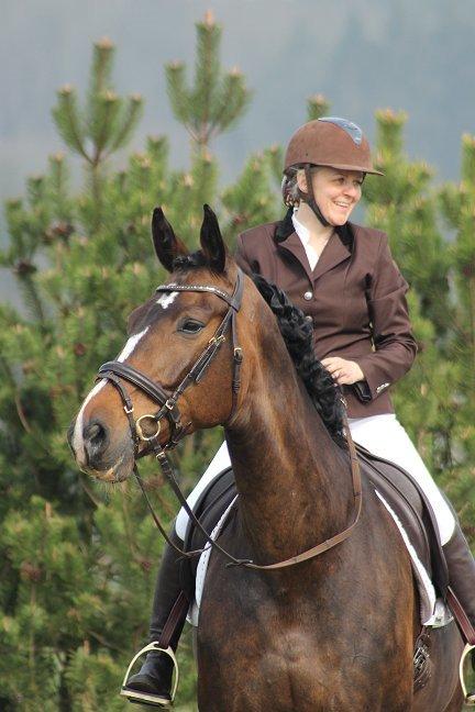 Dansk Varmblod Gipsy Birkely - SOLGT - <3 billede 1