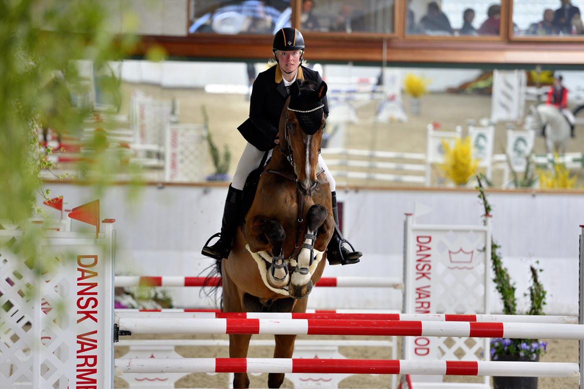 Holstener CHAIO billede 26