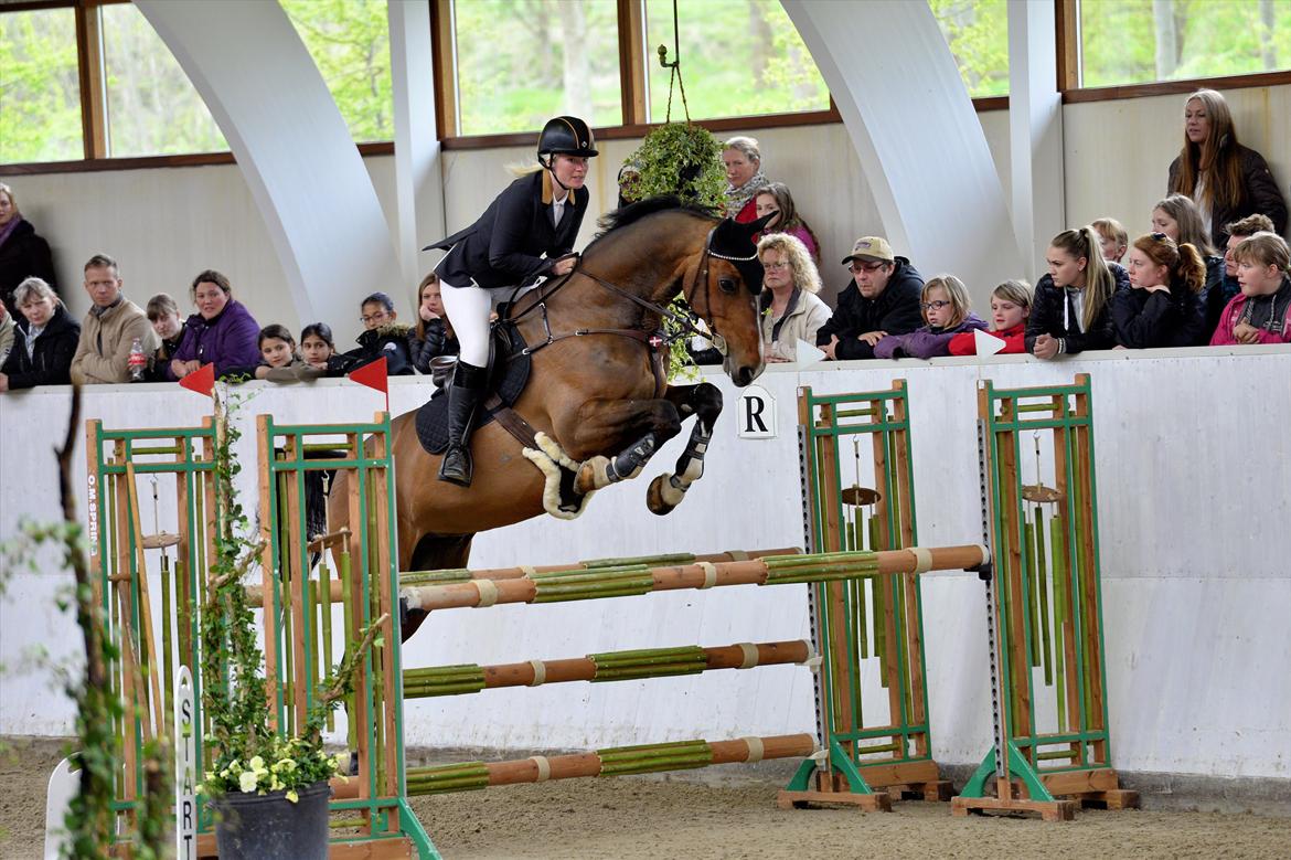 Holstener CHAIO billede 28