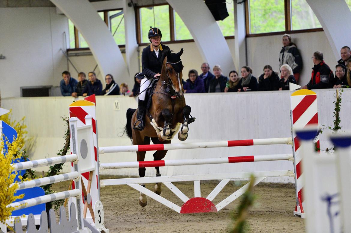 Holstener CHAIO billede 30