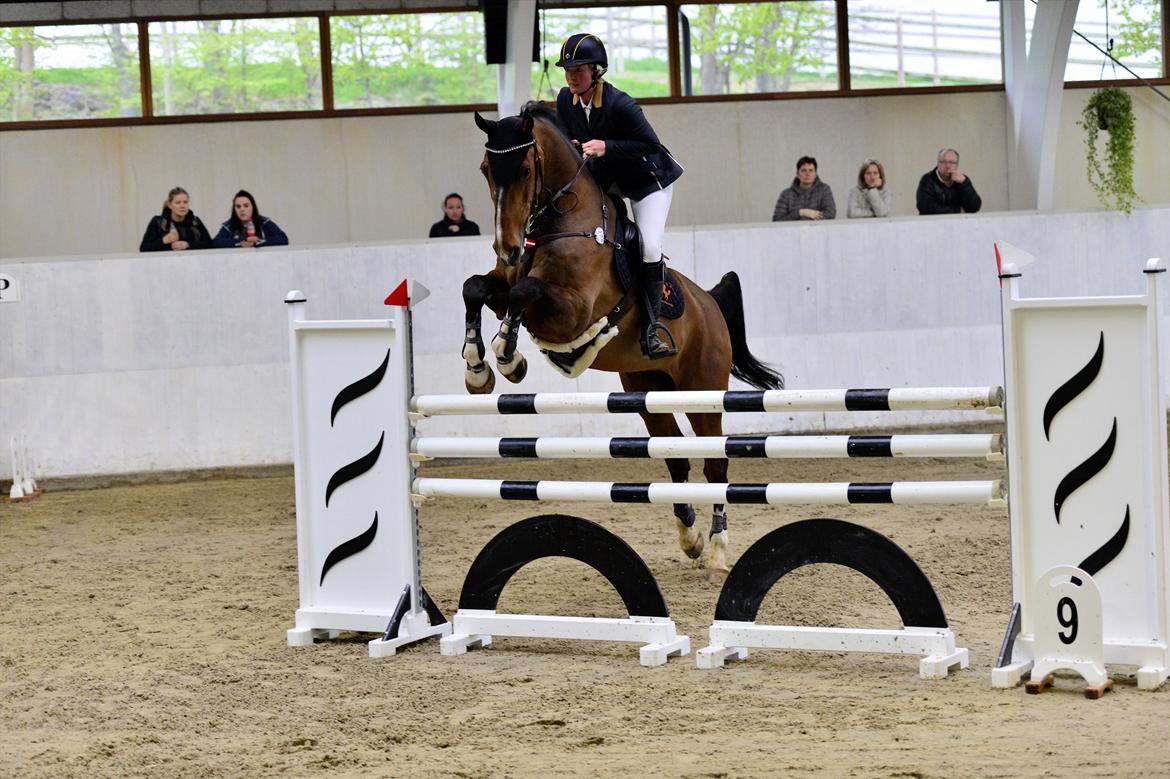 Holstener CHAIO billede 31