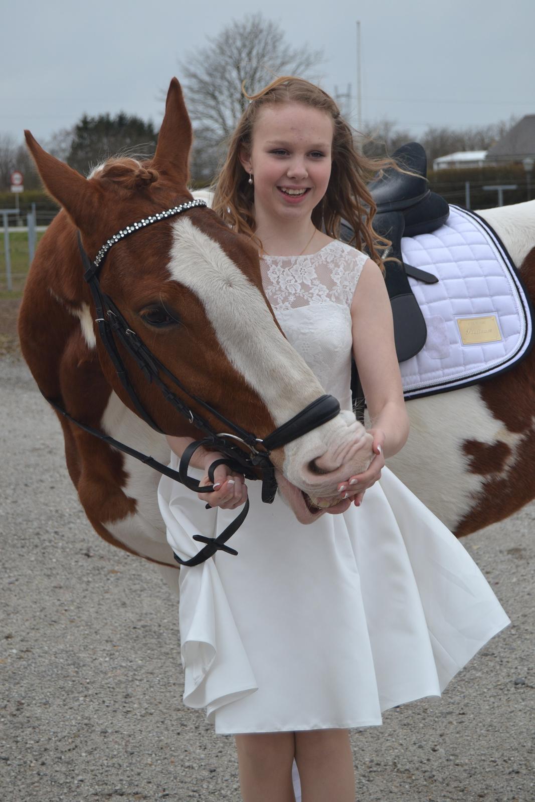 Anden særlig race Eldorado - Eldorado til min konfirmation d. 12.04.15 billede 11