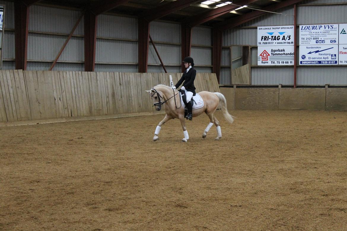 DSP Attention - Første stævne - 4 år  billede 7