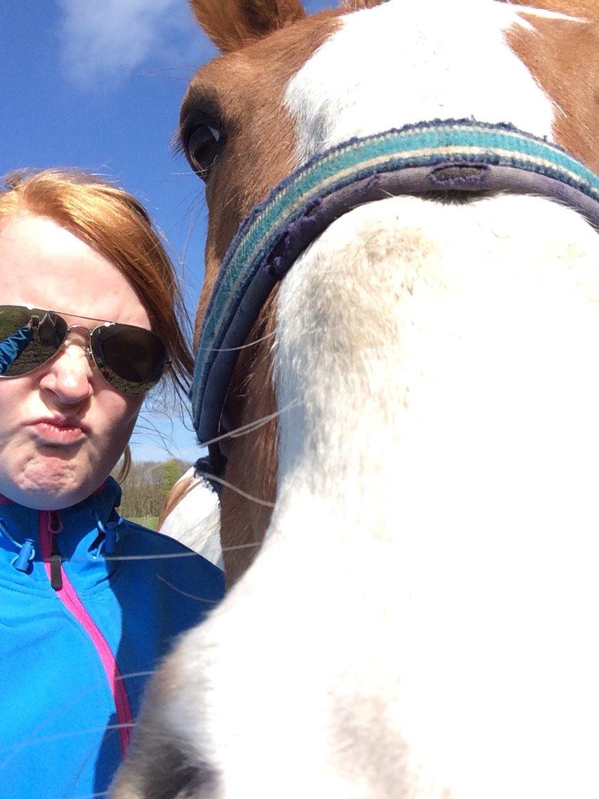 Anden særlig race Olivar - Solgt billede 13