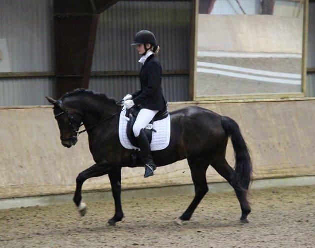 Tysk Sportspony Chester - Stævne i Ry, PRI, 25/4-15 billede 8