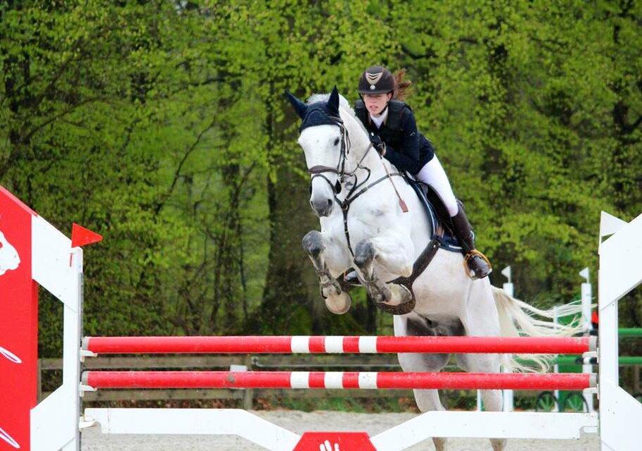 Dansk Varmblod Camari billede 21