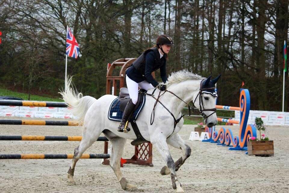 Dansk Varmblod Camari billede 23