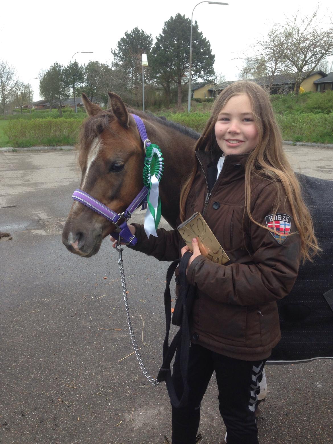 Welsh Pony (sec B) Tophøjs spartan  - vores første placering<3:3 billede 18