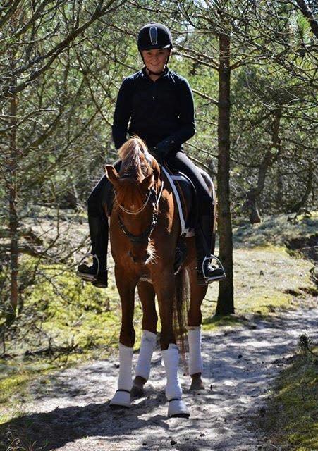 DSP Toftlunds Prins-chi billede 5