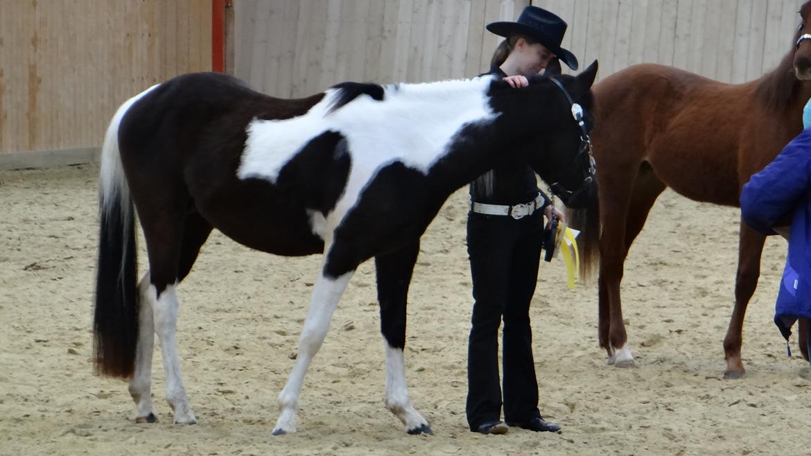 Paint ROCKYS FLYING COMET billede 3