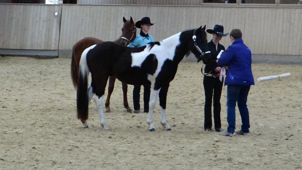 Paint ROCKYS FLYING COMET billede 1