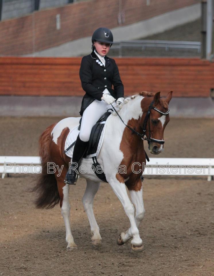 Anden særlig race Hidalgo - Klubmesterskab 2015, dressur Fotograf: Photo by Rebekka Christensen billede 3