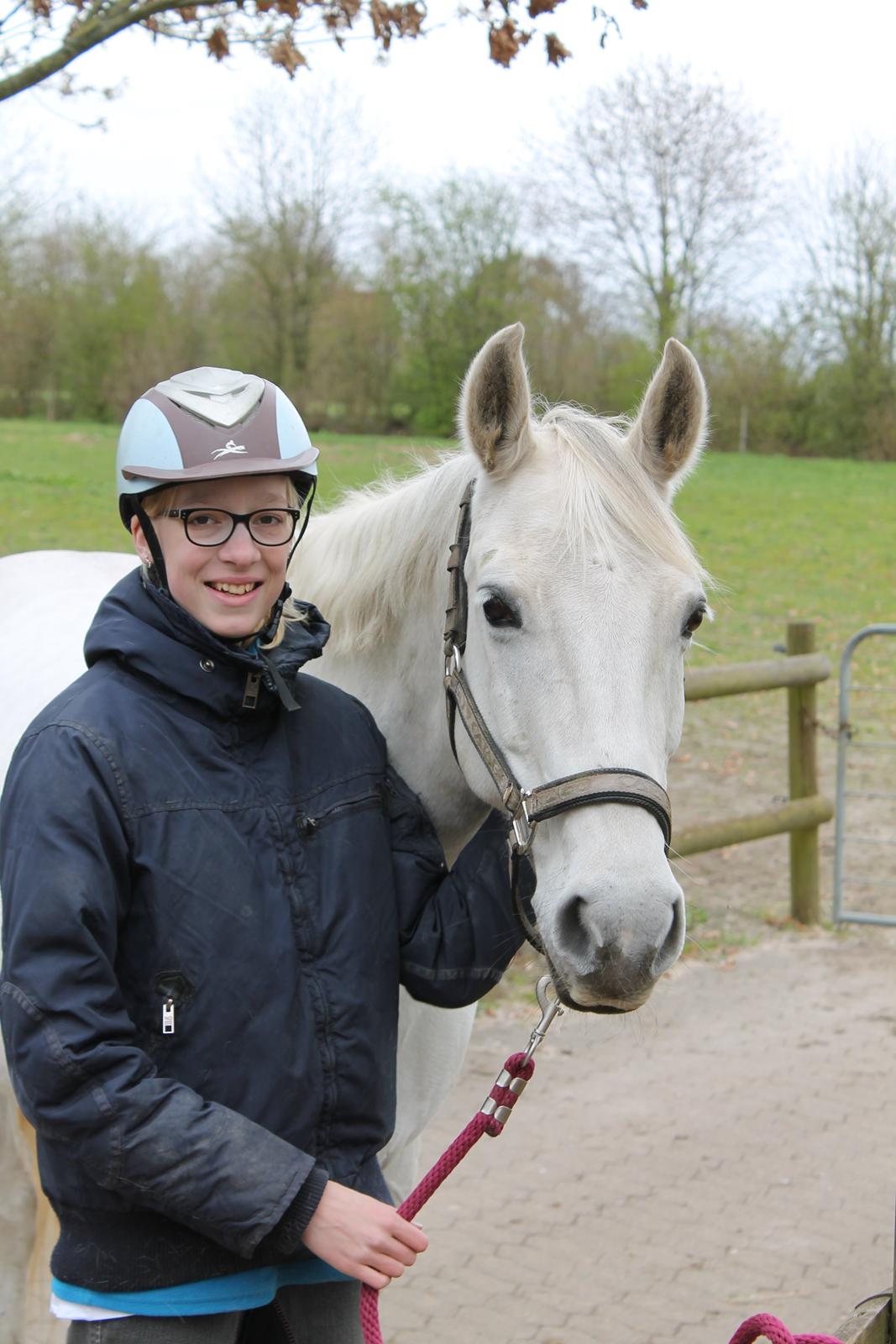 Dansk Varmblod Stella billede 13