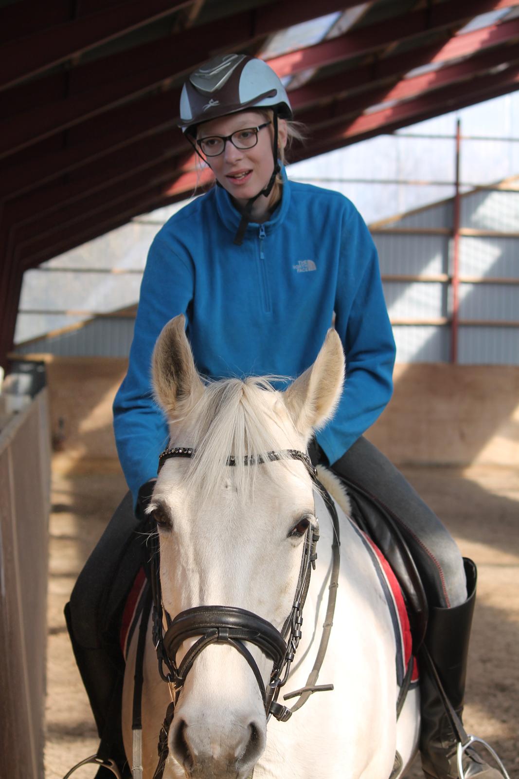 Dansk Varmblod Stella billede 12
