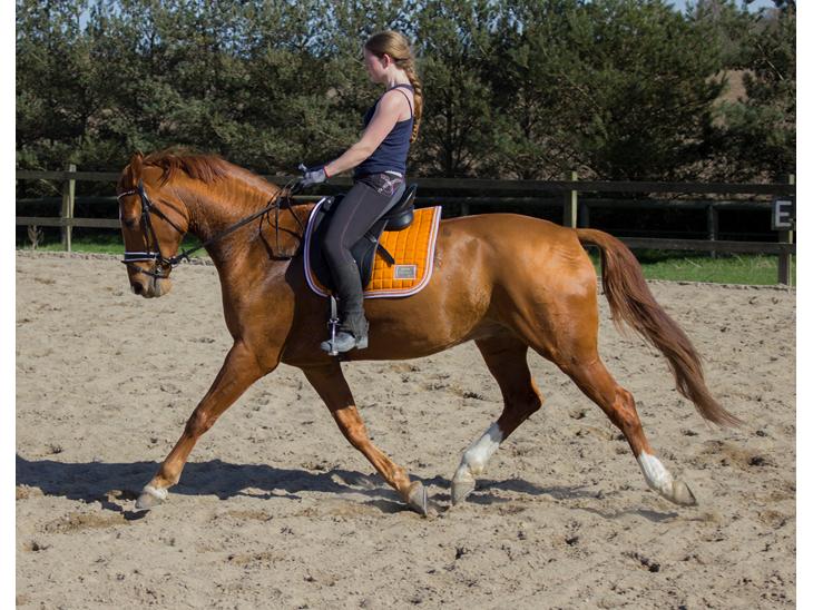 {{currentPhoto.altText}} billede {{currentPhoto.number}}