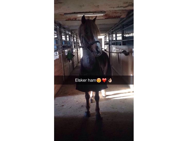 {{currentPhoto.altText}} billede {{currentPhoto.number}}