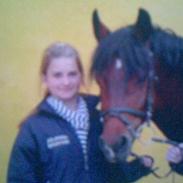 Hollandsk Sportspony Julandia ( Solgt )<3