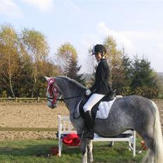 Anden særlig race Shadow B-pony "Solgt" :'(