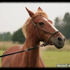 Traver Charmaine *mit alt*
