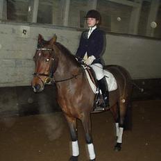 Hollandsk Sportspony Julandia ( Solgt )<3