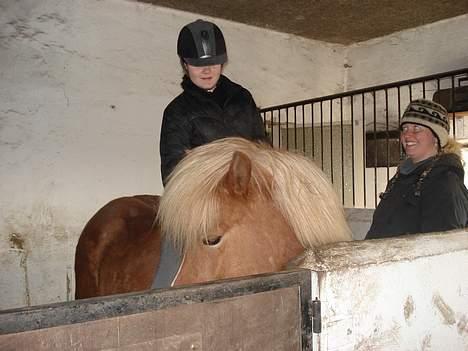 Islænder Lukka Fra Fredensdal - Oppe at sidde på hende første gang.. billede 10