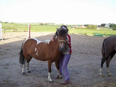 Anden særlig race Ronja *solgt* - Et billede mere fra 2005, Ronja ville gerne ind i stalden, så var svær at holde billede 6