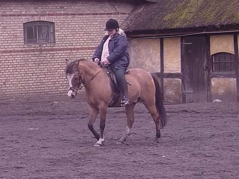 Anden særlig race samson - samson og kristina  billede 12